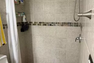 1421 Mohrlake Dr, Brandon, FL 33511 - Photo 39