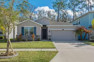 32959 Sand Creek Dr, Wesley Chapel, FL 33543 - Photo 1