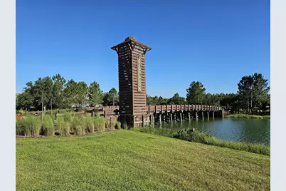 32959 Sand Creek Drive, Wesley Chapel, FL 33543 - Photo 31