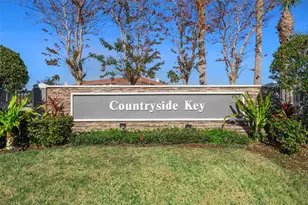 388 Countryside Key Blvd, Oldsmar, FL 34677 - Photo 29