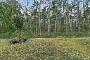 2929 Lucille Ln, Middleburg, FL 32068 - Photo 73