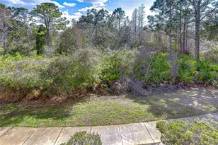10409 Villa View Cir, Tampa, FL 33647 - Photo 37