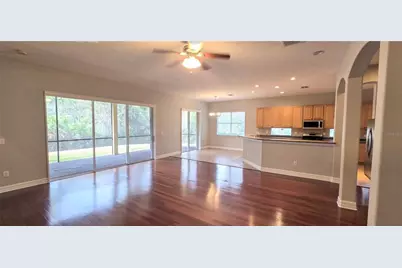 20426 Walnut Grove Lane, Tampa, FL 33647 - Photo 7