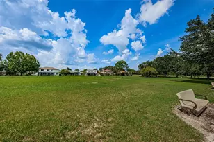 12038 Stone Crossing Cir, Tampa, FL 33635 - Photo 65