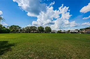 12038 Stone Crossing Cir, Tampa, FL 33635 - Photo 73