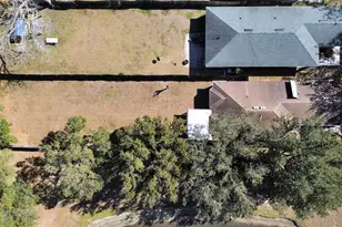 1606 Marsh Wood Dr, Seffner, FL 33584 - Photo 5