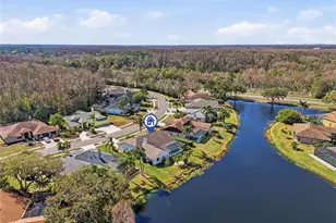 846 Centerwood Dr, Tarpon Springs, FL 34688 - Photo 63