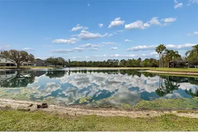 31537 Earn Drive, Wesley Chapel, FL 33545 - Photo 15