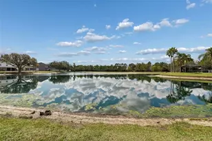 31537 Earn Dr, Wesley Chapel, FL 33545 - Photo 15