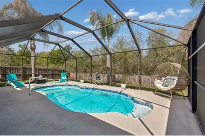 31537 Earn Drive, Wesley Chapel, FL 33545 - Photo 3