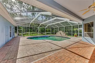 3972 Mimosa Pl, Palm Harbor, FL 34685 - Photo 71