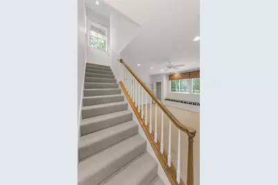 3972 Mimosa Place, Palm Harbor, FL 34685 - Photo 63