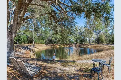 8602 Back Road, Plant City, FL 33565 - Photo 19