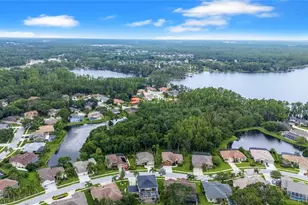 21314 Marsh Hawk Dr, Land O Lakes, FL 34638 - Photo 57