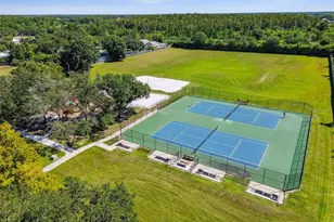 19427 Morden Blush Dr, Lutz, FL 33558 - Photo 83