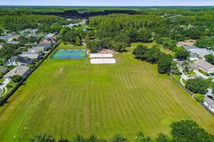 19427 Morden Blush Dr, Lutz, FL 33558 - Photo 85