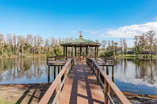 6617 Thoroughbred Loop, Odessa, FL 33556 - Photo 49