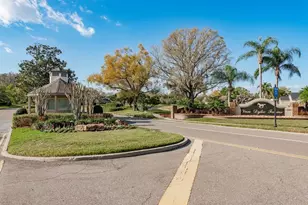 6617 Thoroughbred Loop, Odessa, FL 33556 - Photo 53