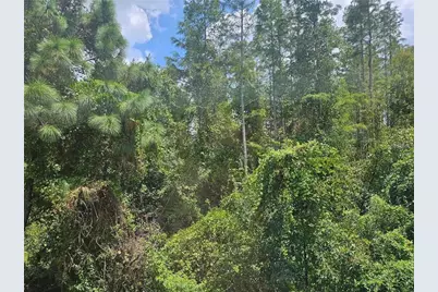 1120 Blackwater Drive, Wesley Chapel, FL 33543 - Photo 35