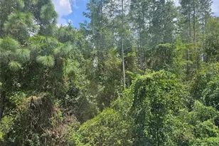 1120 Blackwater Dr, Wesley Chapel, FL 33543 - Photo 35