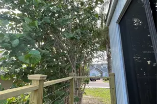 606 N Mayo St, Crystal Beach, FL 34681 - Photo 33