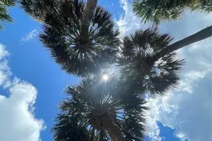 606 N Mayo St, Crystal Beach, FL 34681 - Photo 37