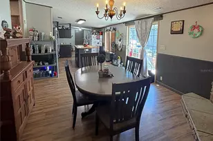 12919 S County Rd 39, Lithia, FL 33547 - Photo 17