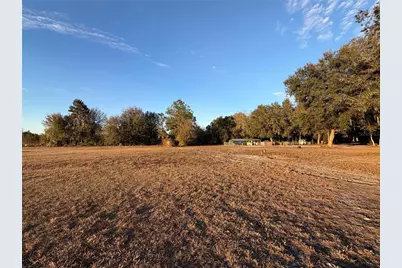 12919 S County Road 39, Lithia, FL 33547 - Photo 7