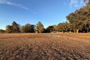 12919 S County Rd 39, Lithia, FL 33547 - Photo 7