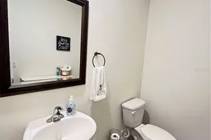 17032 Oval Rum Dr, Wimauma, FL 33598 - Photo 19