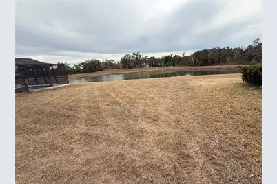 12016 Miracle Mile Drive, Riverview, FL 33578 - Photo 17