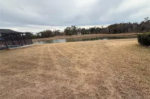 12016 MIracle Mile Dr, Riverview, FL 33578 - Photo 17