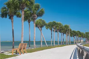 1420 Bayshore Blvd, Dunedin, FL 34698 - Photo 31