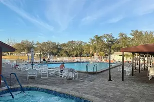 11117 Pembridge Ct, Port Richey, FL 34668 - Photo 31