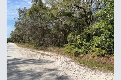 34085 Arrowrock Street, Webster, FL 33597 - Photo 9