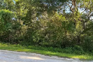 34085 Arrowrock St, Ridge Manor Estates, FL 33597 - Photo 1