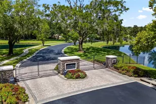 9902 Menander Wood Ct, Odessa, FL 33556 - Photo 99