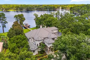 9902 Menander Wood Ct, Odessa, FL 33556 - Photo 1