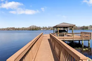 9902 Menander Wood Ct, Odessa, FL 33556 - Photo 93