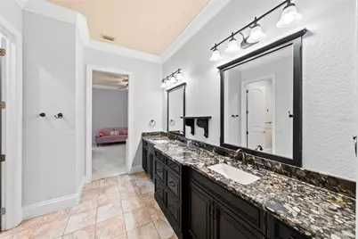 9902 Menander Wood Court, Odessa, FL 33556 - Photo 65