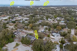 953 Cedarwood Ave, Dunedin, FL 34698 - Photo 35