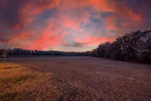 14604 Horse Trot Rd, Lithia, FL 33547 - Photo 3