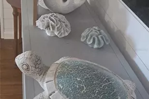 6627 Tower Dr, Hudson, FL 34667 - Photo 13