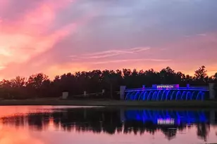 32455 Welling Blade Loop, Wesley Chapel, FL 33545 - Photo 35