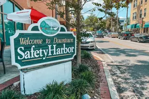 2941A Shore Dr, Safety Harbor, FL 34695 - Photo 9