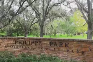 2941A Shore Dr, Safety Harbor, FL 34695 - Photo 11