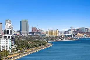 3101 Bayshore Blvd, Tampa, FL 33629 - Photo 15