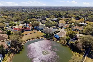 2406 Dana Dr, Safety Harbor, FL 34695 - Photo 59