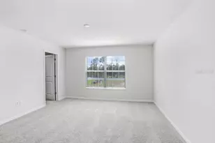 5347 Coldpine Pl, Seffner, FL 33584 - Photo 17