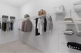 17807 Cane Patch Ct, Parrish, FL 34219 - Photo 9